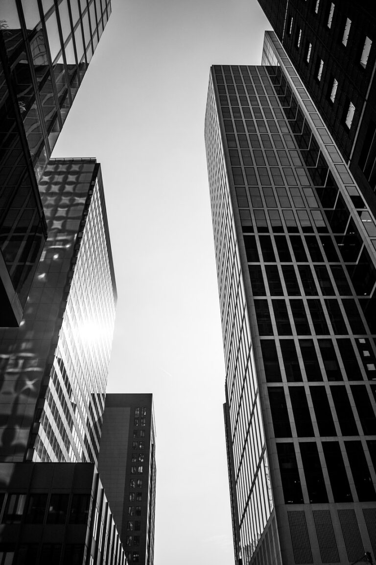 city, skyscraper, frankfurt, germany, frankfurt am main germany, building, cityscape, urban, horizon, banks, architecture, modern, center, europe, monochrome, skyscrapers, banking district